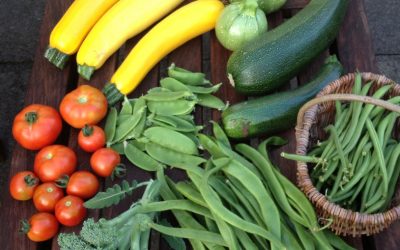 Learning and Growing