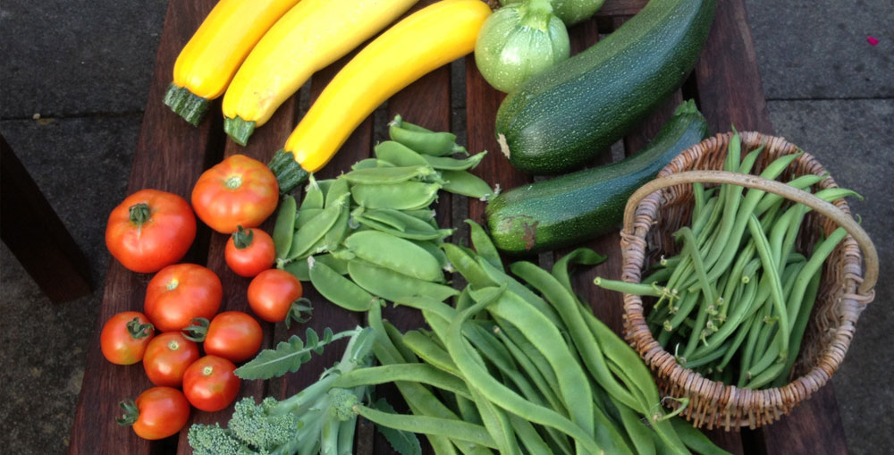 Learning and Growing