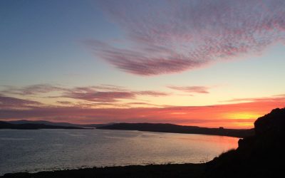 Skies, seals and sunsets 