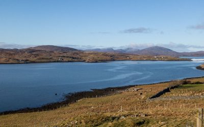 The Opening of the Bridge…